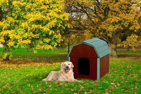 barn_style_dog_house_lifestyle