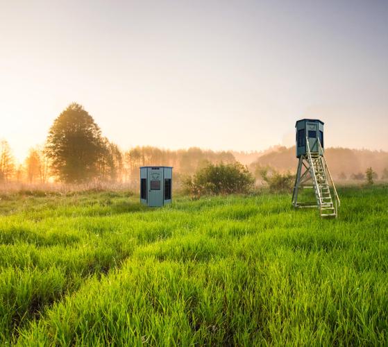 hunting-blind-scence