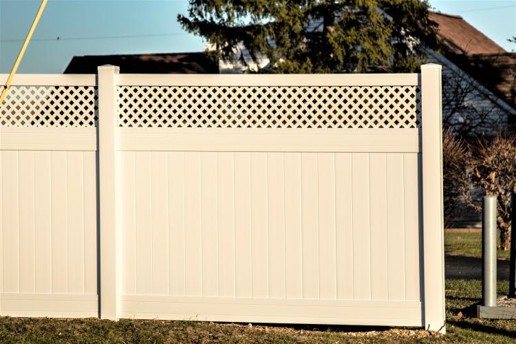 Cambridge with Lattice -White