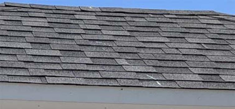 Shingled Roof
